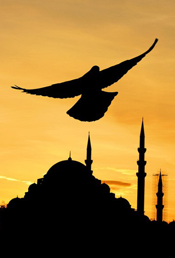 Borçlar Hukuku Borçlar Hukuku