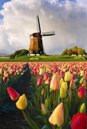 Wie zijn wij ? Wie zijn wij ?